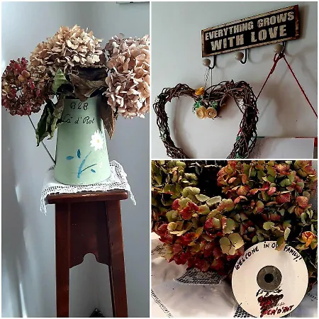 Gospodarstwo wiejskie Ca D' Rot - Casa Ratti