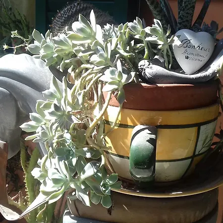 Ca D' Rot - Casa Ratti